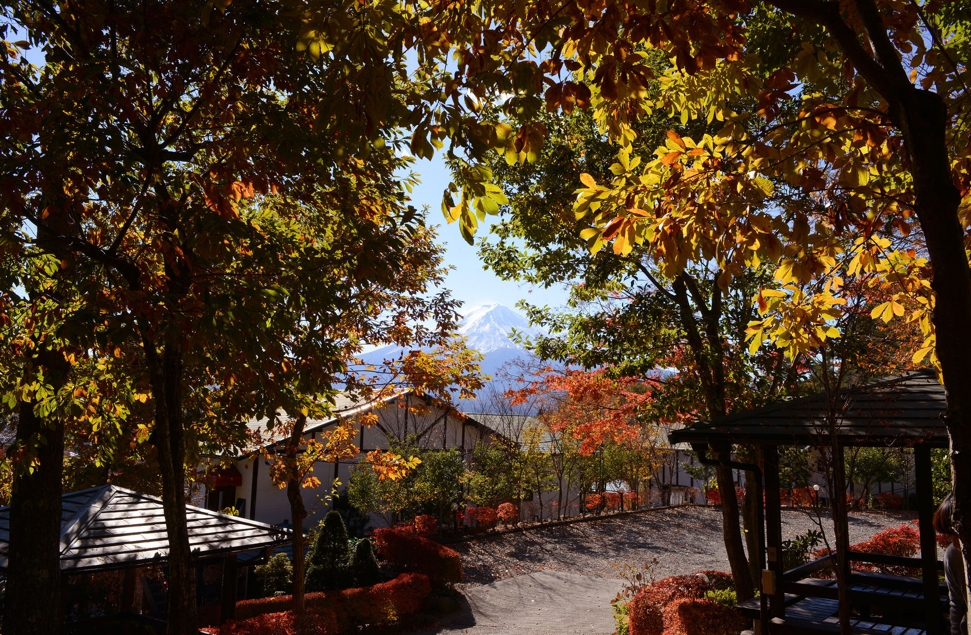 Kawaguchiko Country Cottage Ban Fujikawaguchiko Zewnętrze zdjęcie