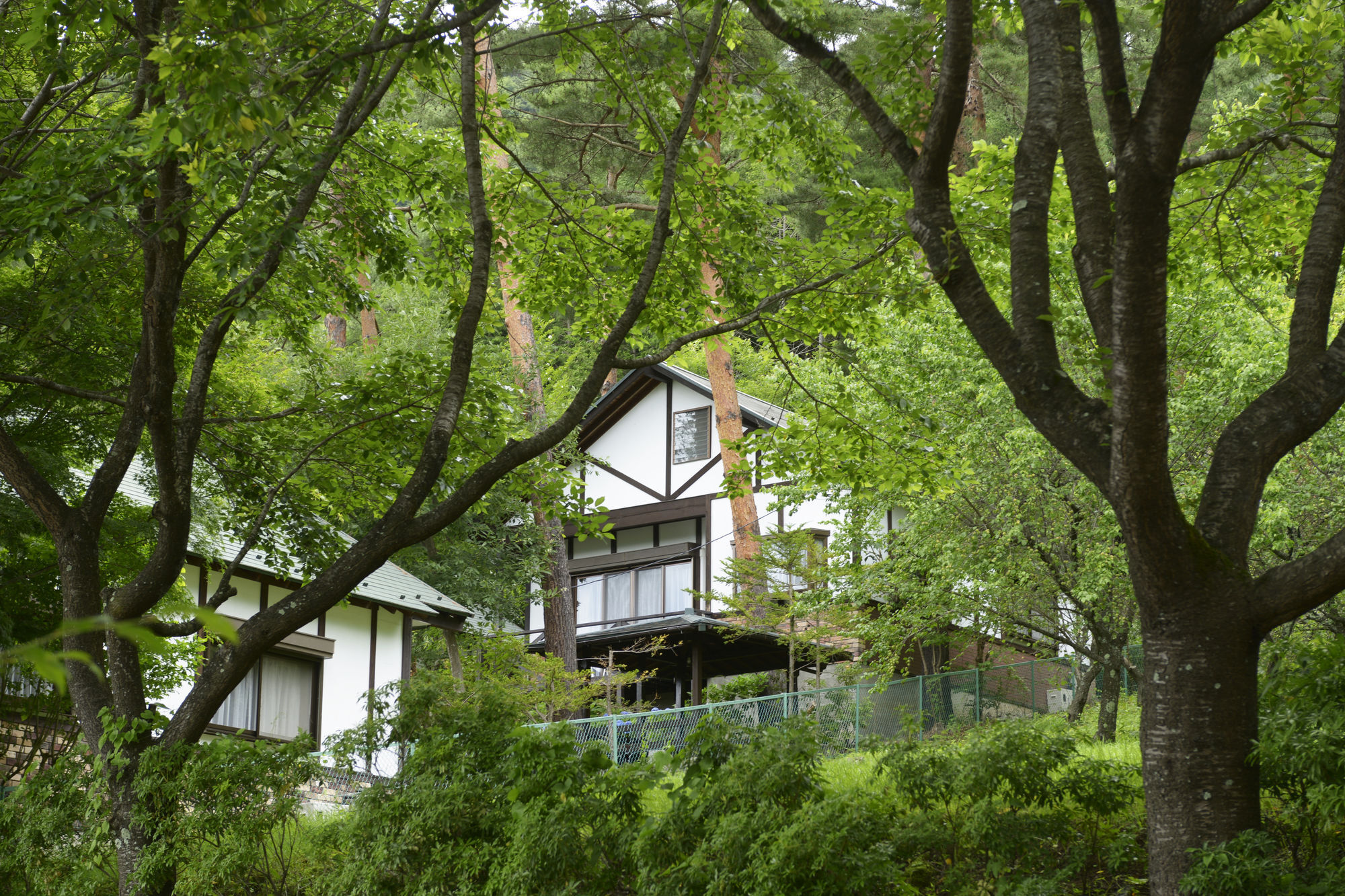 Kawaguchiko Country Cottage Ban Fujikawaguchiko Zewnętrze zdjęcie