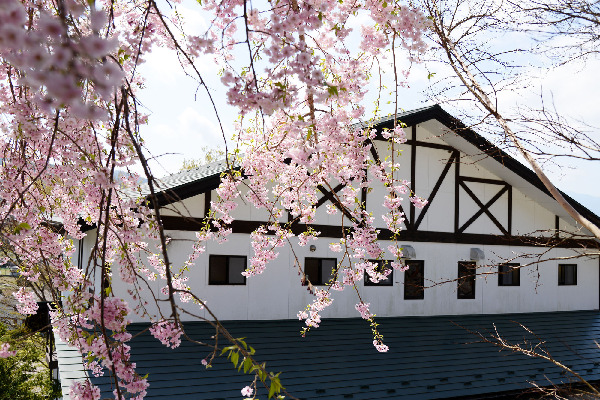 Kawaguchiko Country Cottage Ban Fujikawaguchiko Zewnętrze zdjęcie