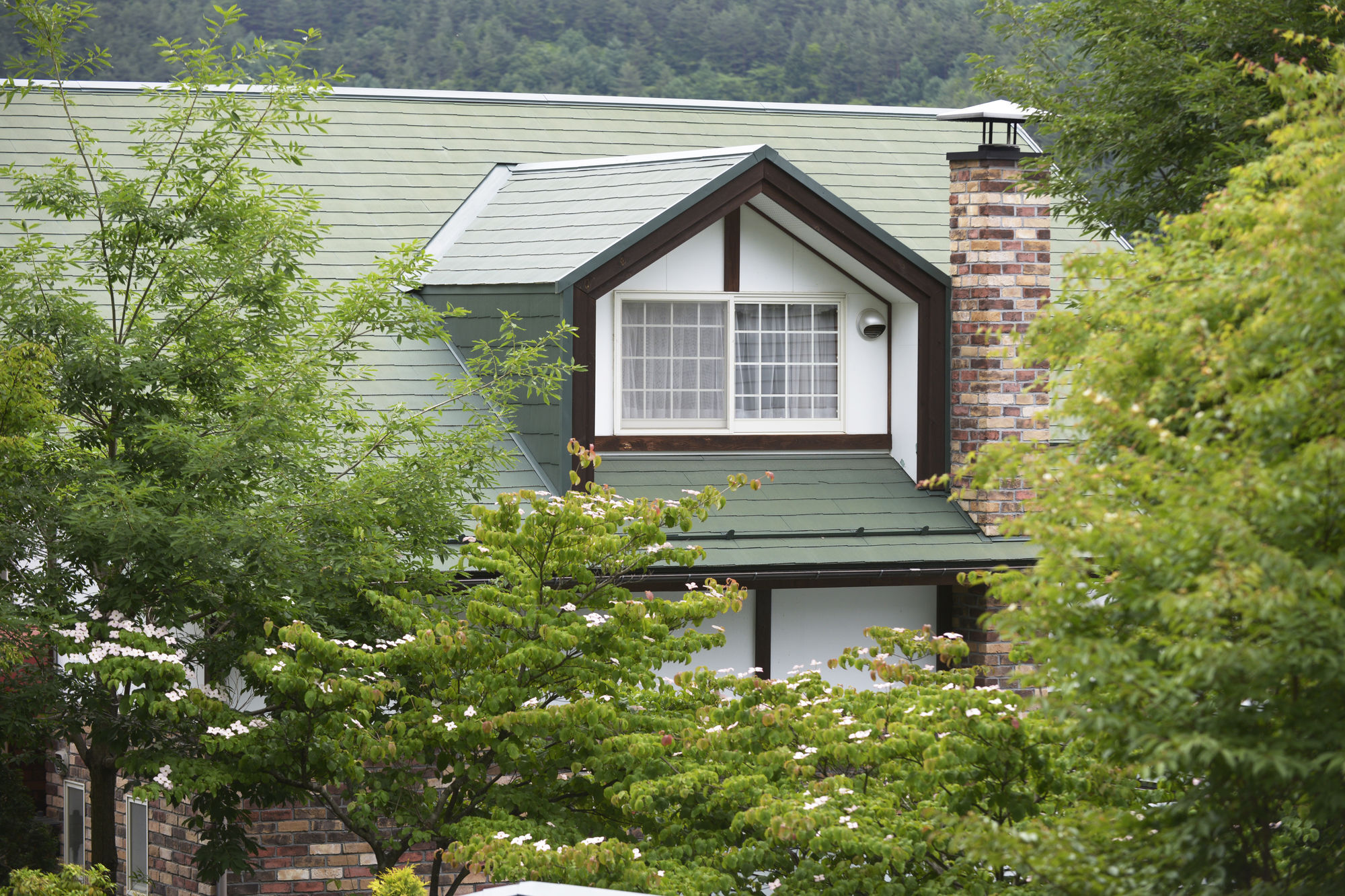 Kawaguchiko Country Cottage Ban Fujikawaguchiko Zewnętrze zdjęcie